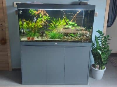 Aquarium 350 L + meuble