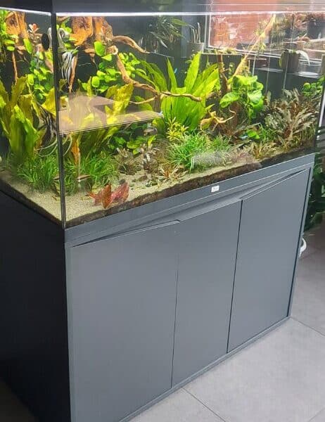 Aquarium 350 L + meuble