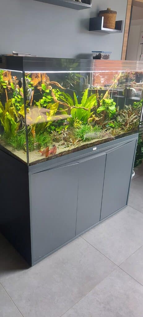 Aquarium 350 L + meuble