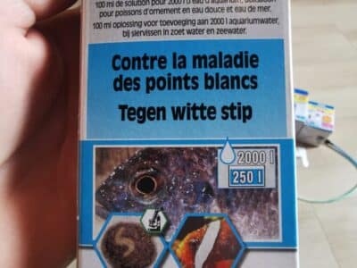 Accessoire aquarium