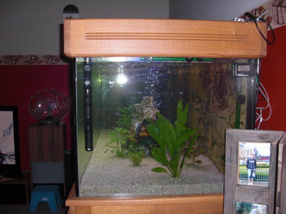 Superbe aquarium de 1.000 litres