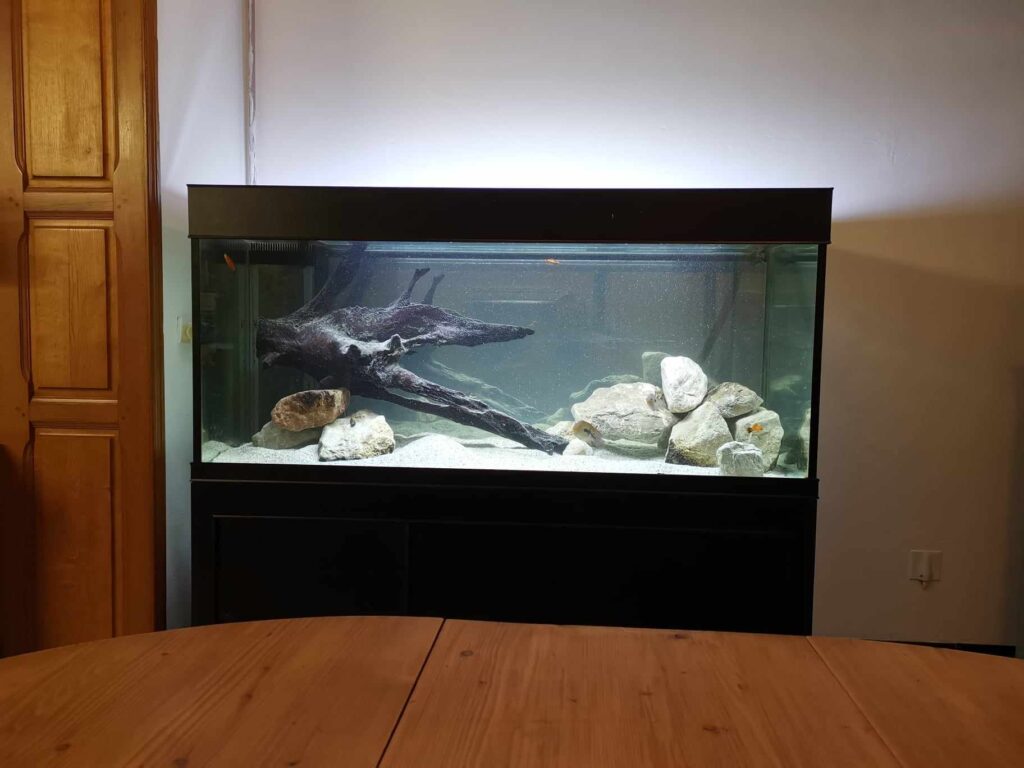 Aquarium 630l sur mesure.