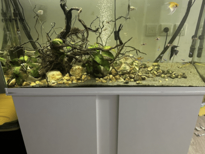 Aquarium avec meuble 240L