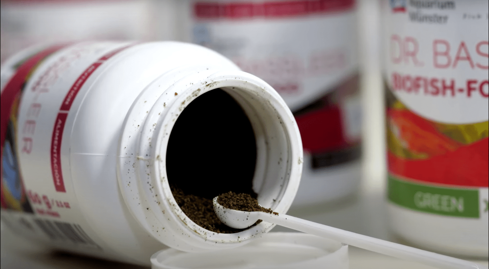 nourriture pour poisson