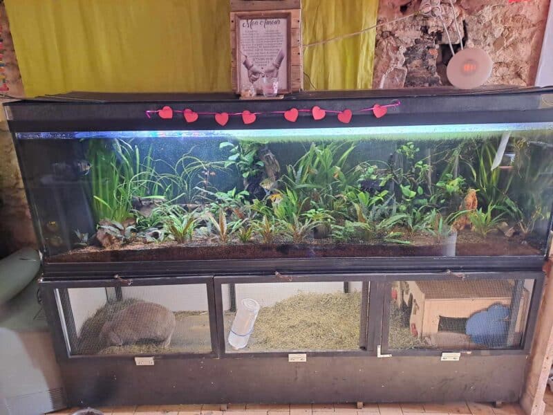 Aquarium 600l