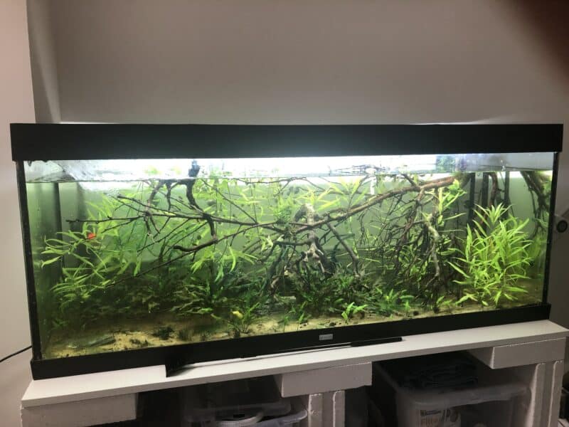 Aquarium 450L Juwel