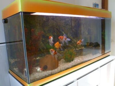 Aquarium 250 litre