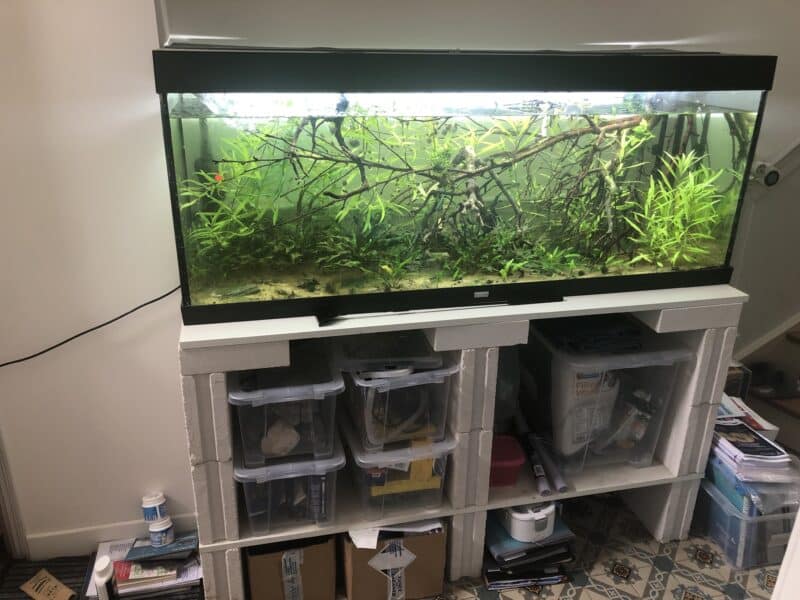 Aquarium 450L Juwel