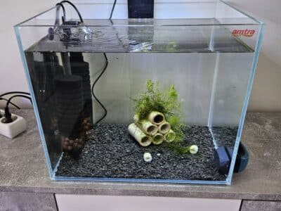 aquarium