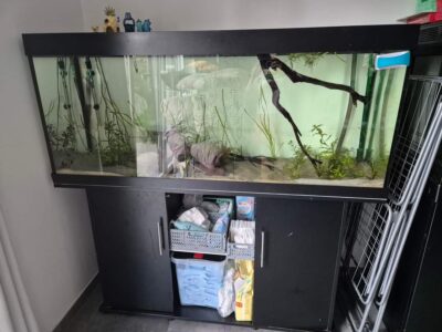 Plusieurs aquarium