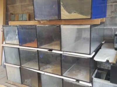 Lot d’aquariums pour 20€