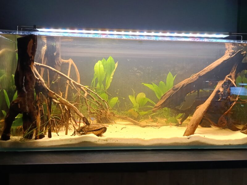 Aquarium aquael, meuble pompe externe, éclairage et chauffage