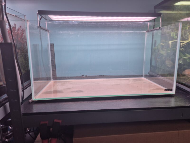 Cuve nue aquarium et rampe led aquarium chihiros wrgb2 pro