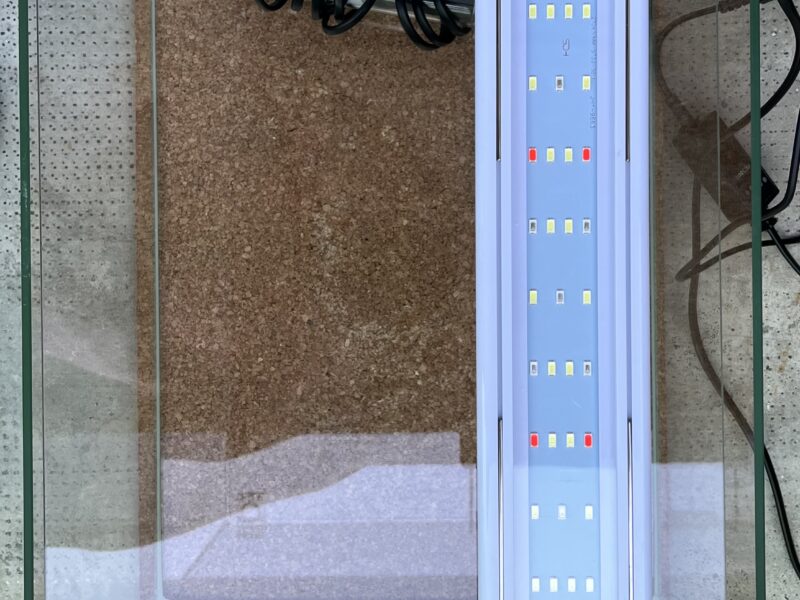 Aquarium 25L complet
