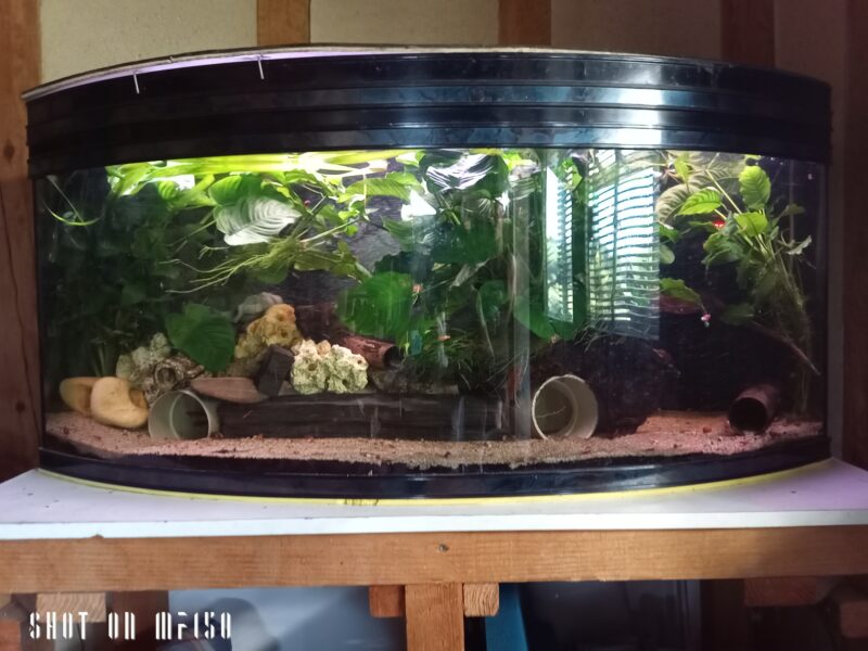 Donne aquarium+meuble+poissons et plantes