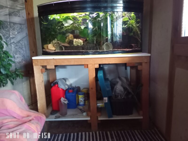 Donne aquarium+meuble+poissons et plantes