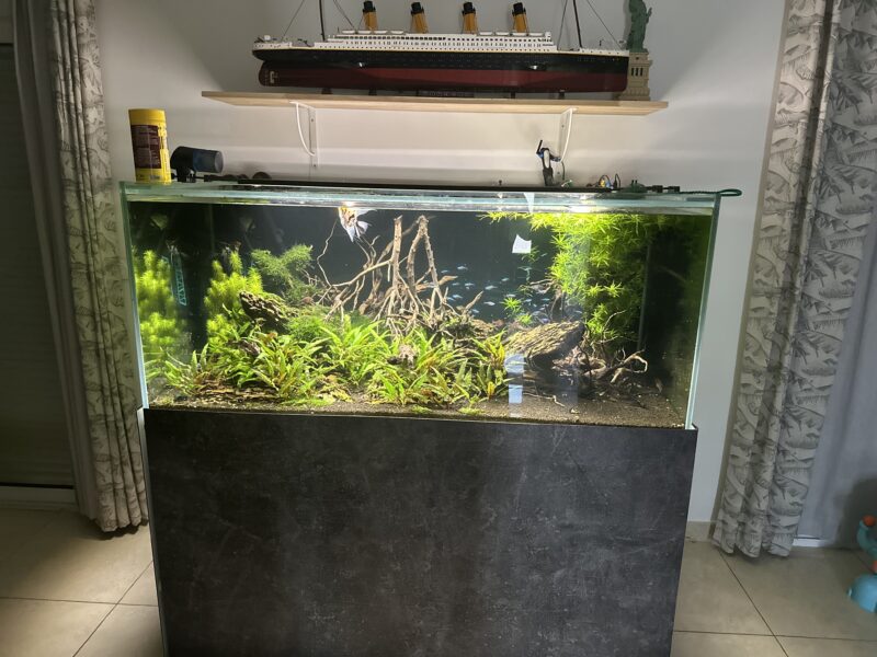 Aquarium 896l plus meuble