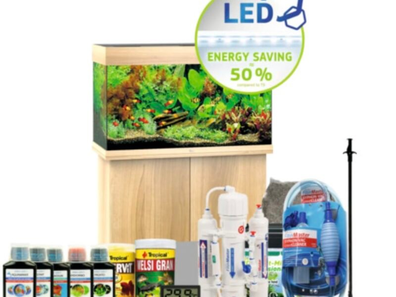 đ Urgent ! Recherche kit complet aquarium 120 L (petit budget)