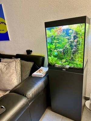 Aquarium 136 litres complet