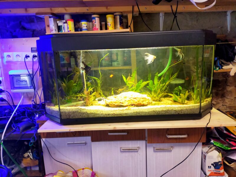 Plusieurs aquariums