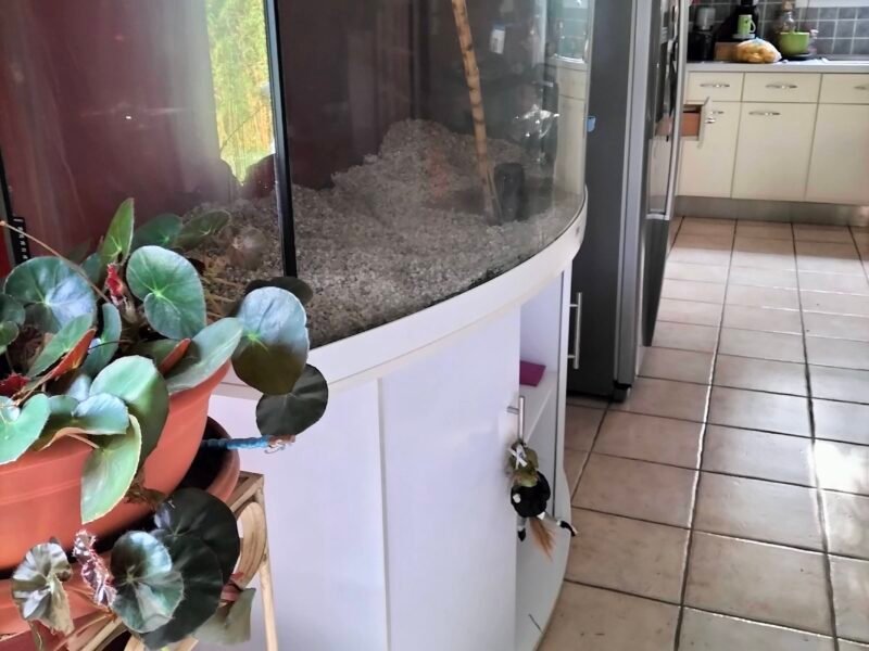 AQUARIUM JUWEL 450