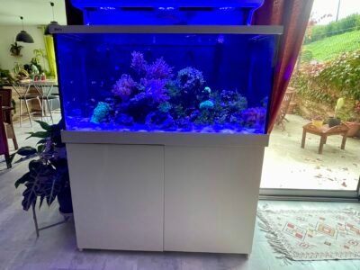 Aquarium Red Sea Max 500