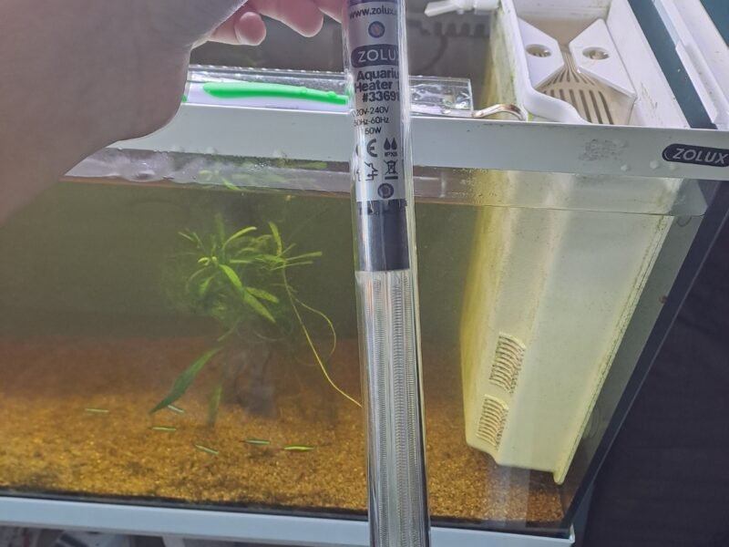 Aquarium zoolux iseo 100 litre tout équipé avec meuble et accessoires