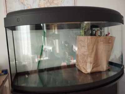 Aquarium 240L