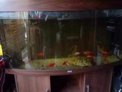 Aquarium Juwel Vision 260