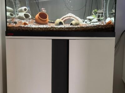 Ensemble complet Aquarium EHEIM 126L + Meuble
