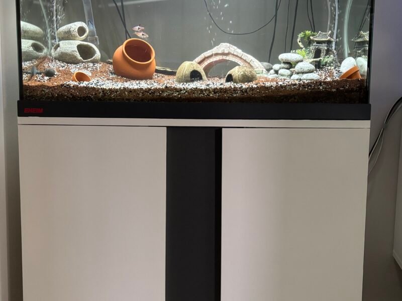 Ensemble complet Aquarium EHEIM 126L + Meuble