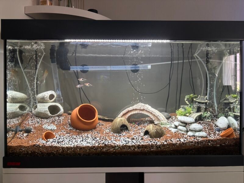 Ensemble complet Aquarium EHEIM 126L + Meuble