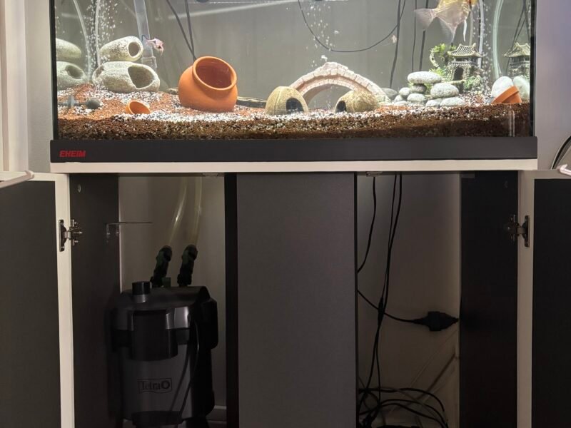 Ensemble complet Aquarium EHEIM 126L + Meuble