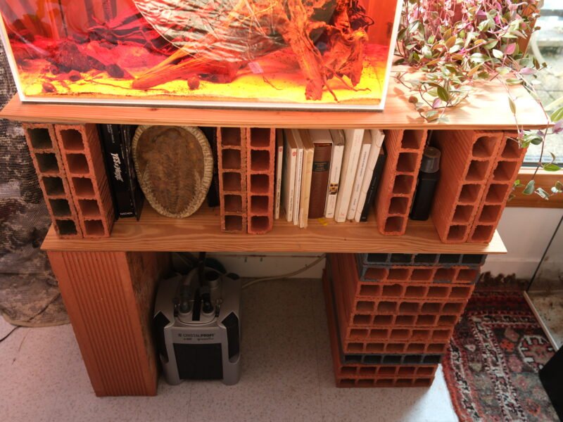 Aquarium ~ 60 litres lily pipe et éclairage