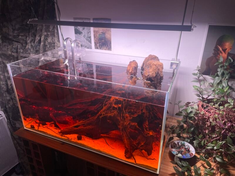 Aquarium ~ 60 litres lily pipe et éclairage