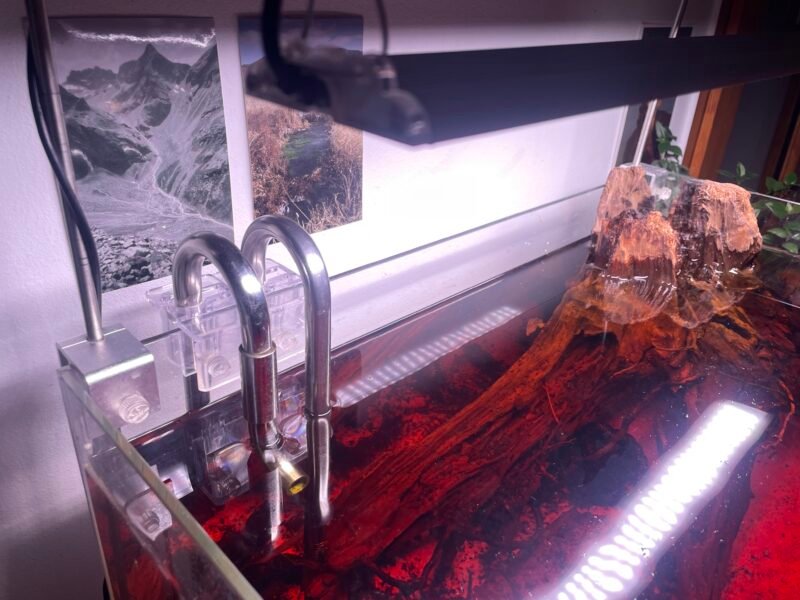 Aquarium ~ 60 litres lily pipe et éclairage