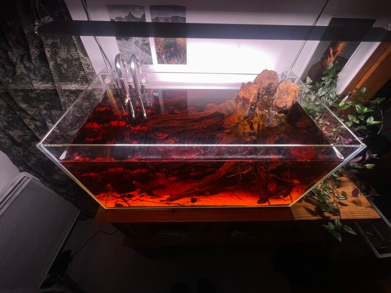 Aquarium ~ 60 litres lily pipe et éclairage
