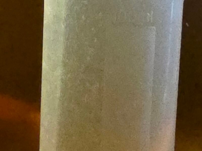 Souche Anguillules du Vinaigre BIO (Flacon 100ml / 80ml de culture)