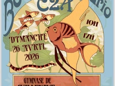 Bourse aquariophile by C2A proche de bordeaux