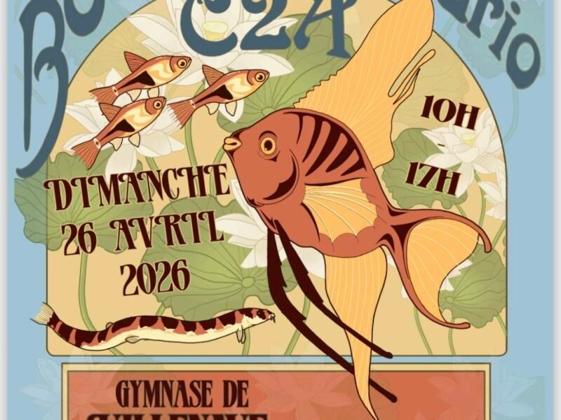 Bourse aquariophile by C2A proche de bordeaux