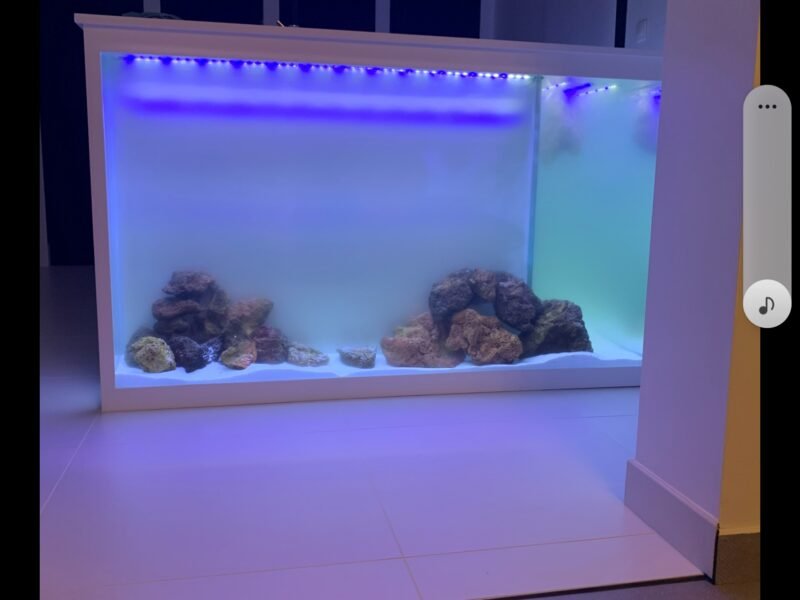 Aquarium en L
