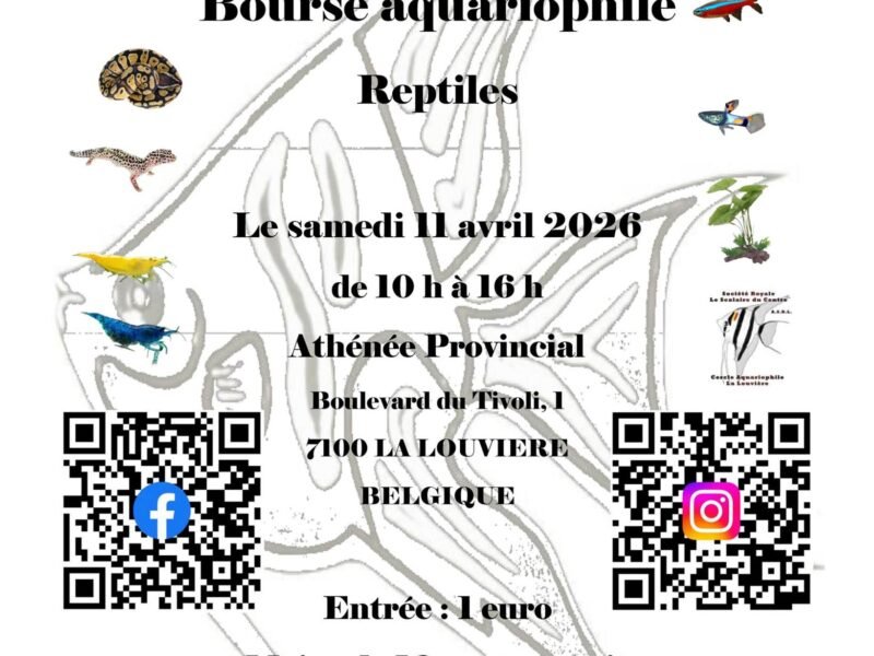 Bourse Aquariophile et Reptiles