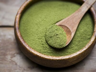 50g de Moringa Bio en poudre nourriture pour crevettes aquascaping poissons aquarium