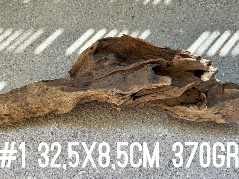 1 grande racine au choix pour crevettes aquascaping poissons aquarium