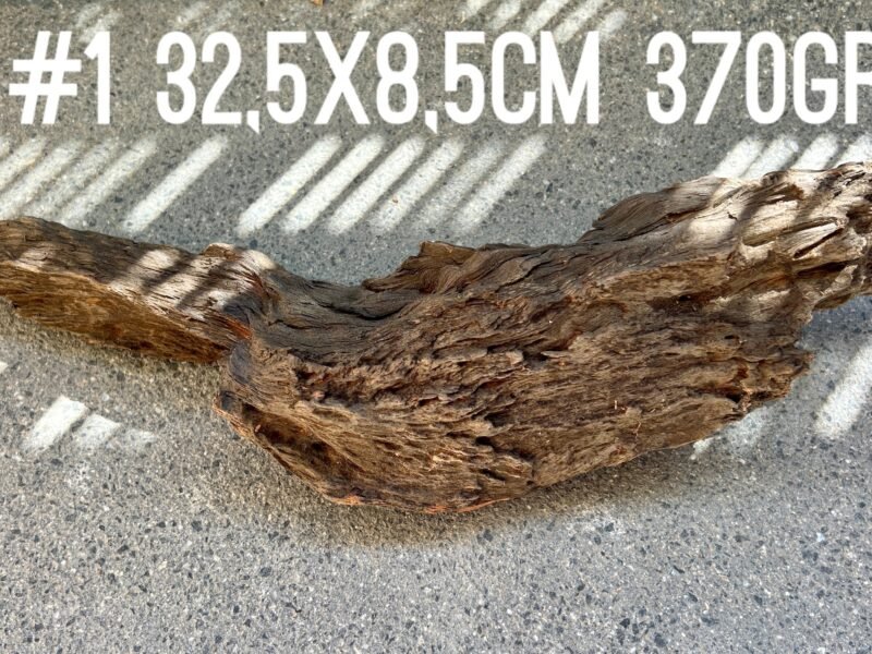 1 grande racine au choix pour crevettes aquascaping poissons aquarium