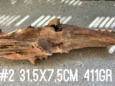 1 grande racine au choix pour crevettes aquascaping poissons aquarium