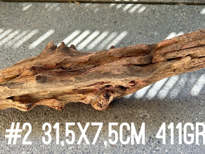 1 grande racine au choix pour crevettes aquascaping poissons aquarium