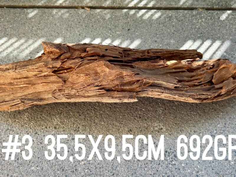 1 grande racine au choix pour crevettes aquascaping poissons aquarium