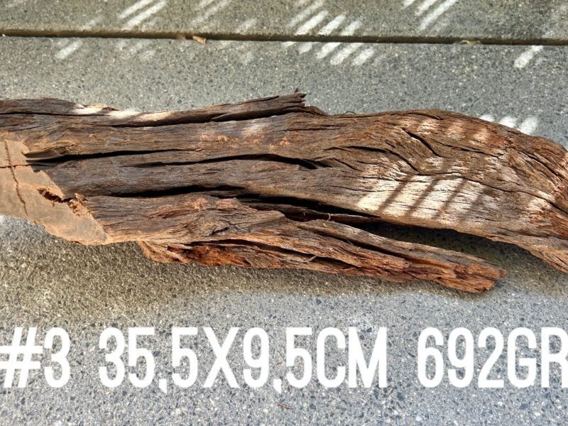 1 grande racine au choix pour crevettes aquascaping poissons aquarium