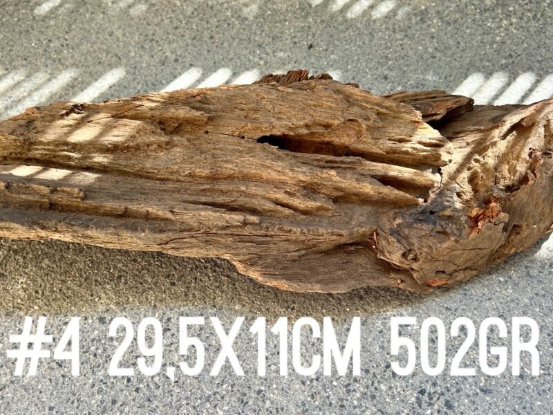 1 grande racine au choix pour crevettes aquascaping poissons aquarium